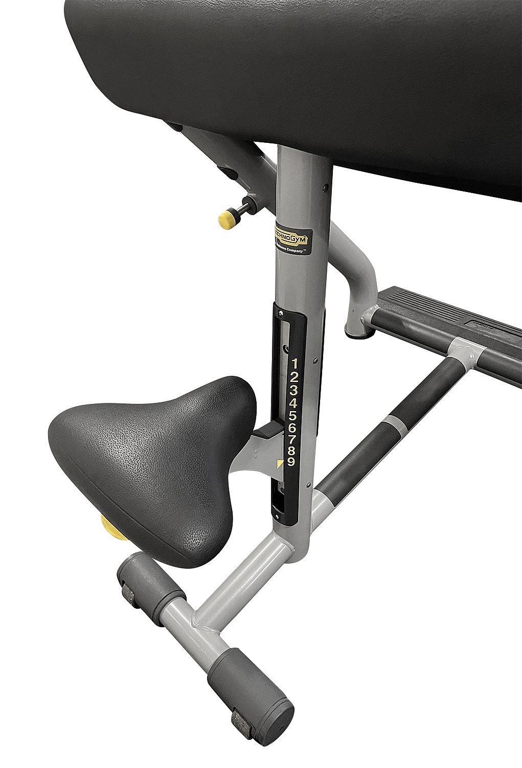 145949-Technogym-Preacher-Curl-Scott-Bench-afbeelding-4