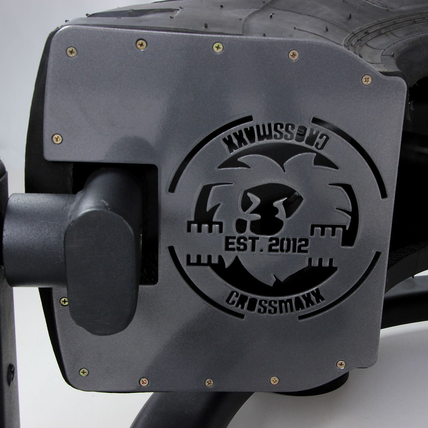 82748-Lifemaxx-Tire-Flip-afbeelding-3