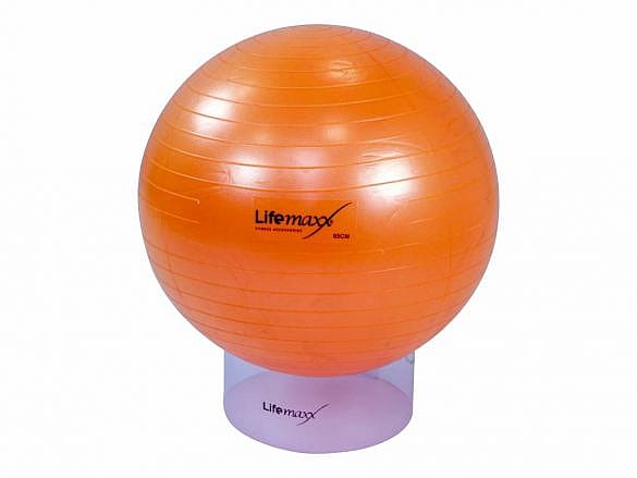 lmx1100.65-Lifemaxx-Gymbal-65-cm-product-model_afbeelding