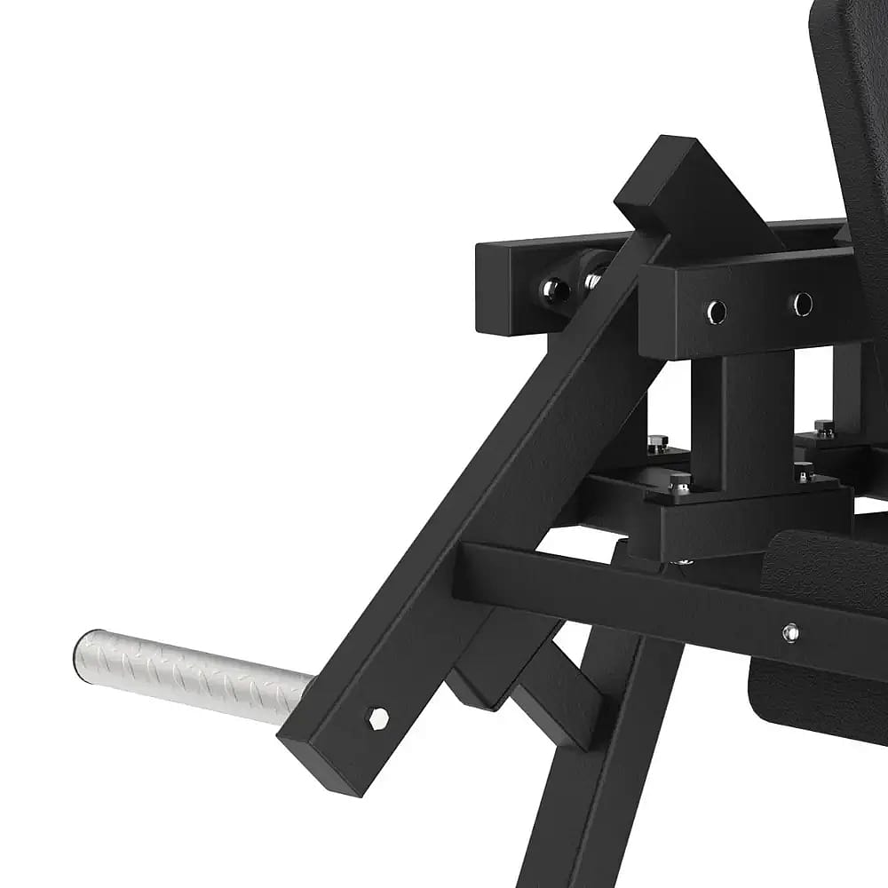 100424-Toorx-Professional-AVANT-FWX-6500-Lateral-Raise-afbeelding-2