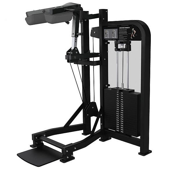 37964-Hammer-Strength-Select-Standing-Calf-afbeelding-1