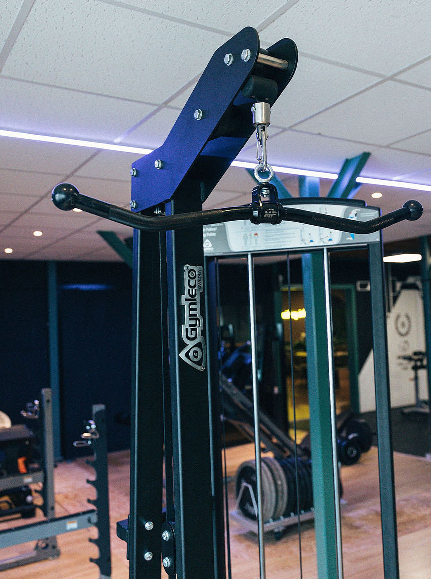 145743-Muscle-Power-rotation-curl-bar-afbeelding-7