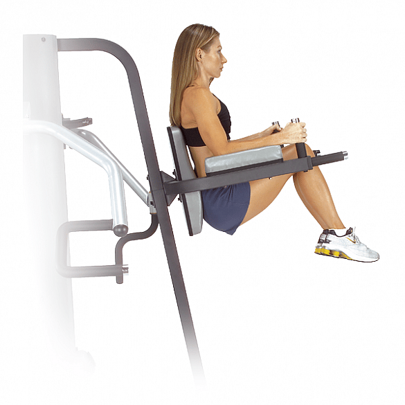 12409-Body-Solid-Vertical-Knee-Raise-and-Dip-Station-for-G9S-afbeelding-1