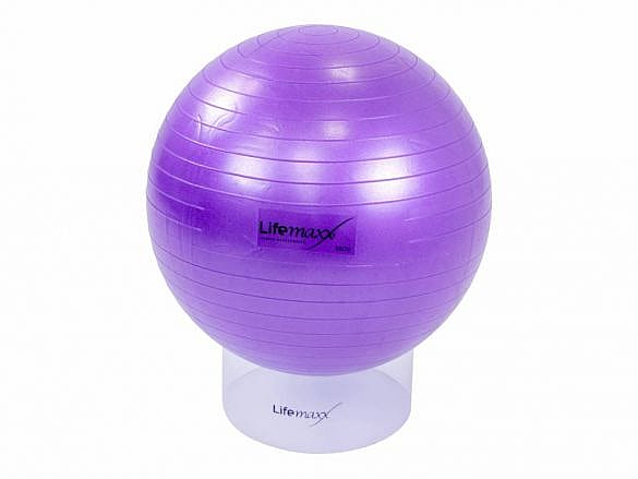 lmx1100.55-Lifemaxx-Gymbal-55-cm-product-model_afbeelding