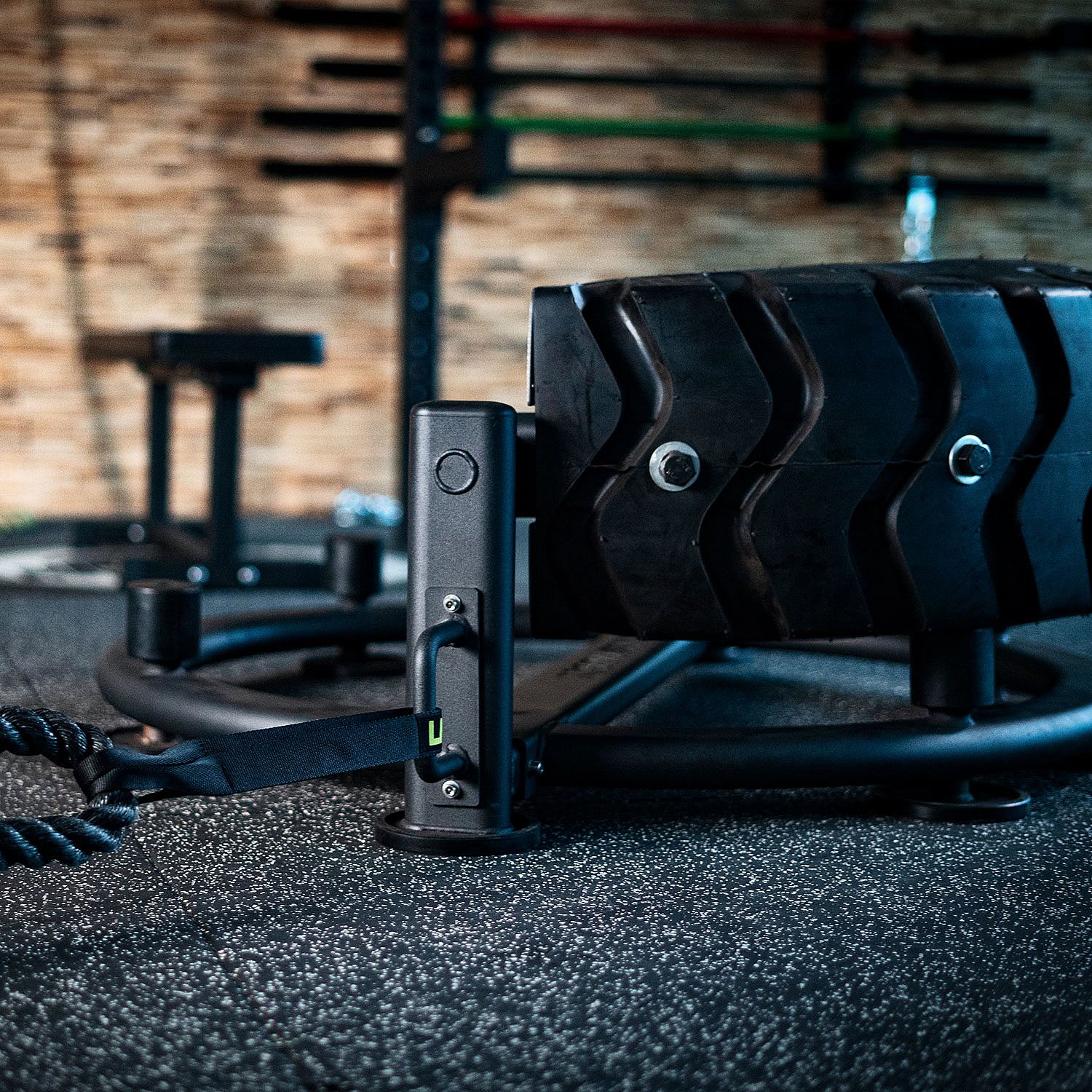 82748-Lifemaxx-Tire-Flip-afbeelding-4