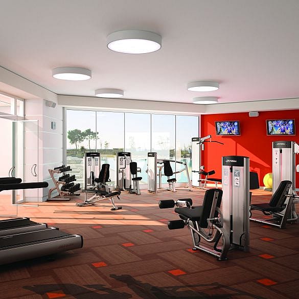 37945-Life-Fitness-Optima-Series-Leg-Curl-liggend-afbeelding-2