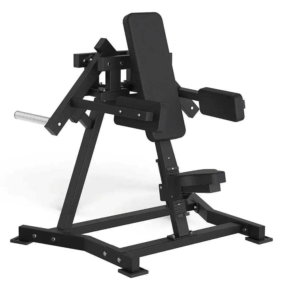 100424-Toorx-Professional-AVANT-FWX-6500-Lateral-Raise-afbeelding-1