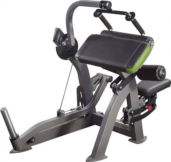 33300-X-Line-triceps-machine-XR209-afbeelding-1