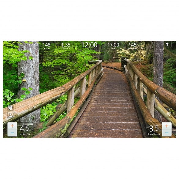 36395-Life-Fitness-Loopband-95T-Discover-SE-gebruikt-afbeelding-6