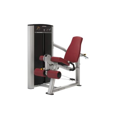 Life Fitness Axiom series leg extension 