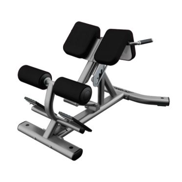 Life fitness Signature series back extension 