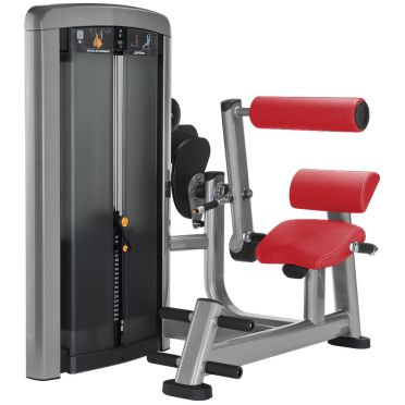 Life Fitness Insignia series back extension 