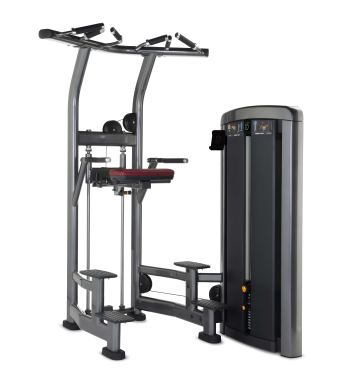 Life Fitness Insignia series assist dip chin 