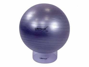 Lifemaxx Gymbal 55 cm zilver LMX 1100.55 