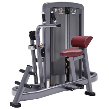 Life Fitness Insignia series abdominal advanced 
