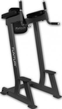 Tunturi Platinum single stations Dip Station