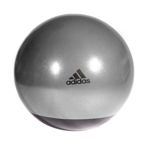 Tether Gouverneur Verbinding Adidas Stability Gymball grijs kopen? Bestel bij fitness24.be