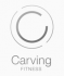 Carving Fitness Balance Premium Edition  CRCNGBLANSPREMIUM