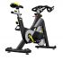 Cybex ICG Indoor Cycle IC3  CICG3