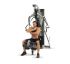 Inspire Fitness AB Bar  ABB1B