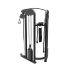 Inspire FTX Functional Trainer DAP Demo  FTX0B-demo