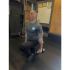 Muscle Power Squat Wedge set  MPOK6097
